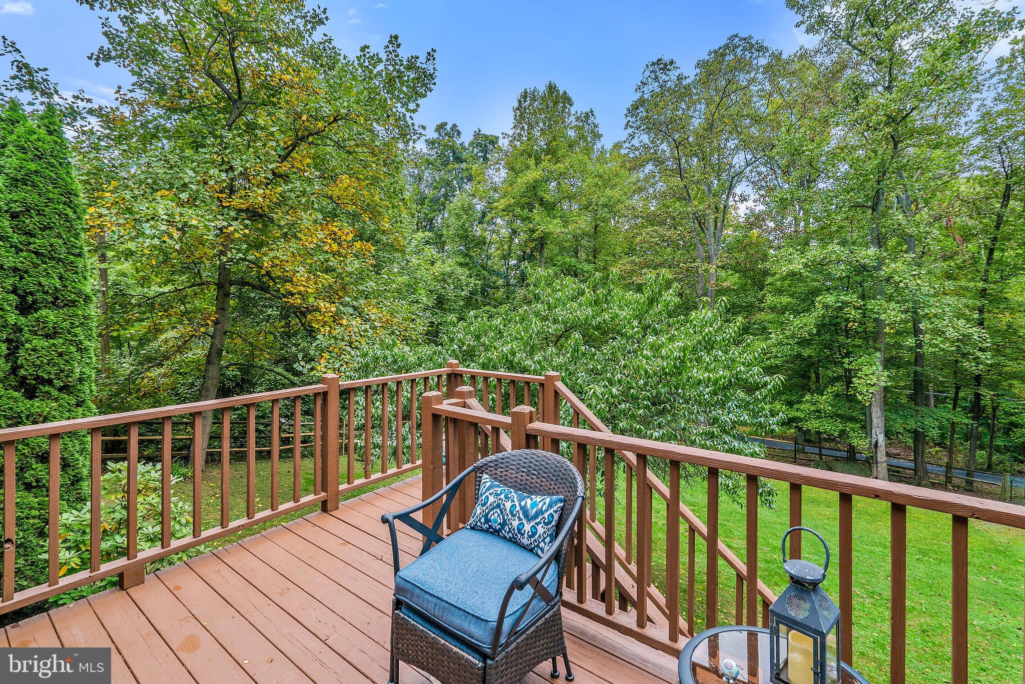 194 Hickory Nut Road Linden, VA 22642 - Photo 29 of 47 Private view off back