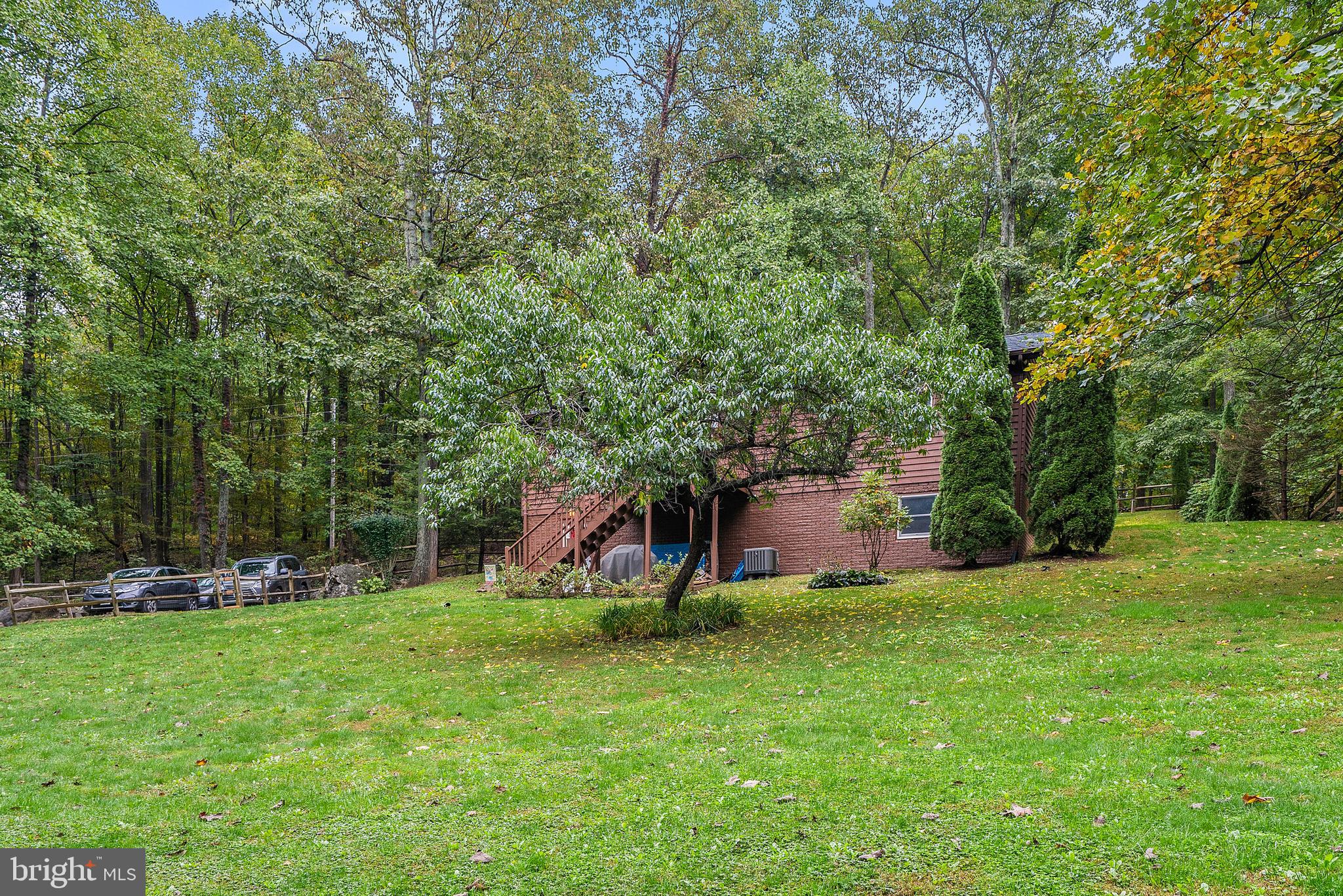 194 Hickory Nut Road Linden, VA 22642 - Photo 6 of 47 Perfect mix of trees and cleared yard