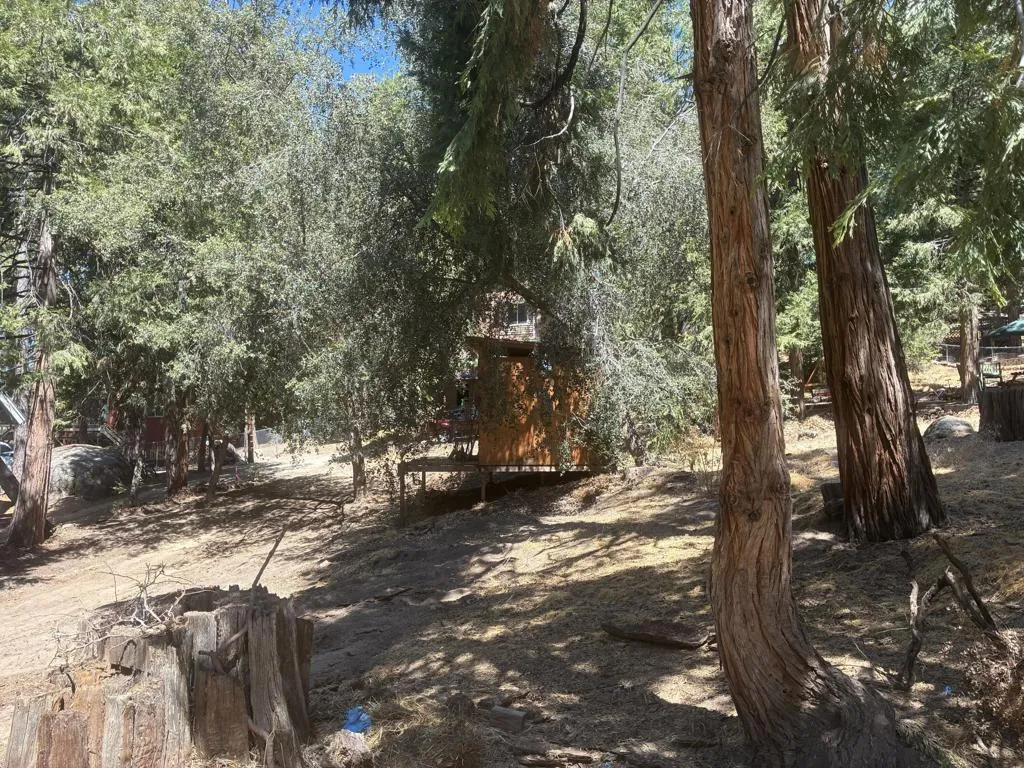0 Acorn Idyllwild, CA 92549 - Photo 13 of 13 IMG_0094