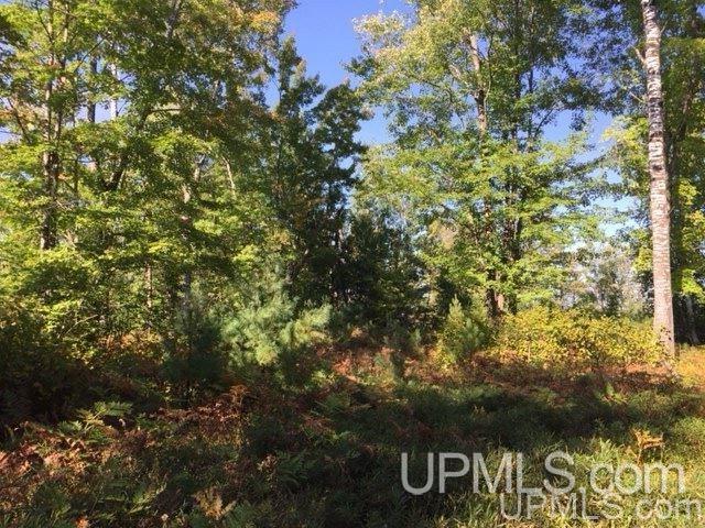 108 Blueberry Corner Road, Unit 3 Crystal Falls, MI 49920 - Photo 17 of 20 Gallery Image 17
