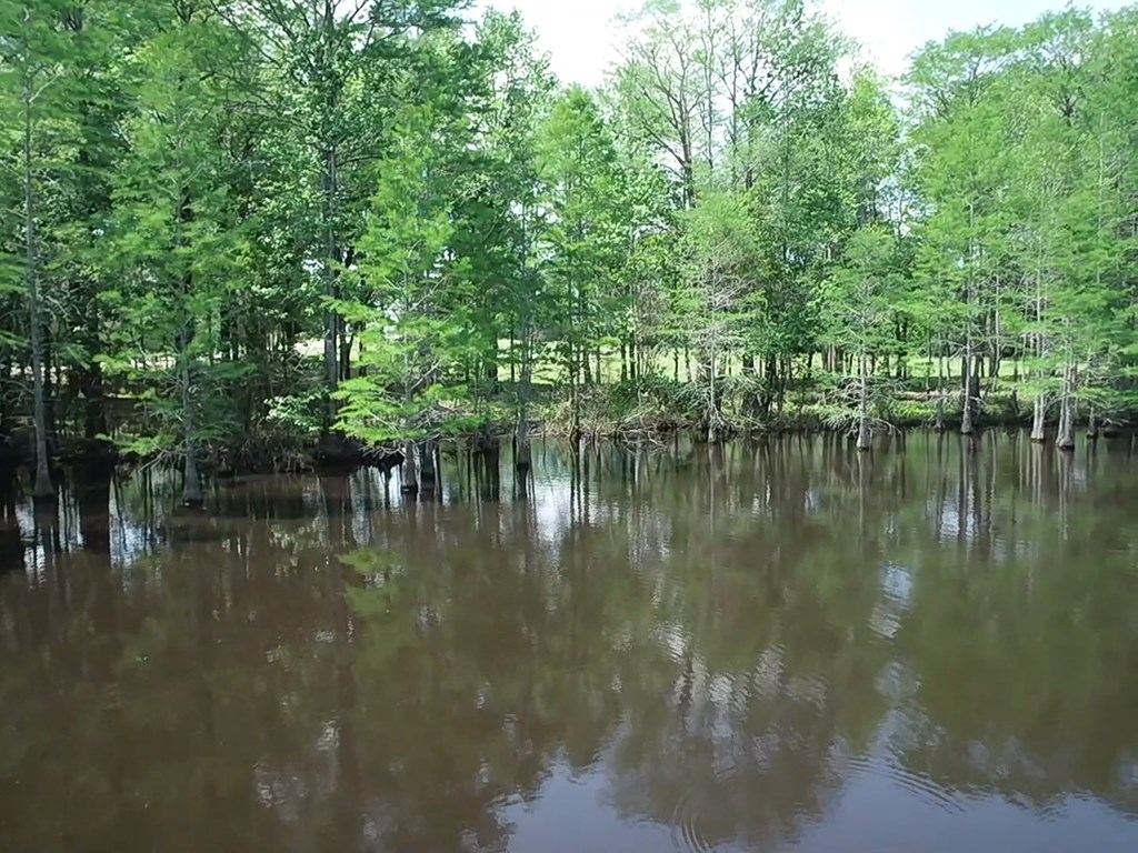 4.04 Cty Road Slocomb, AL 36375 - Photo 31 of 36