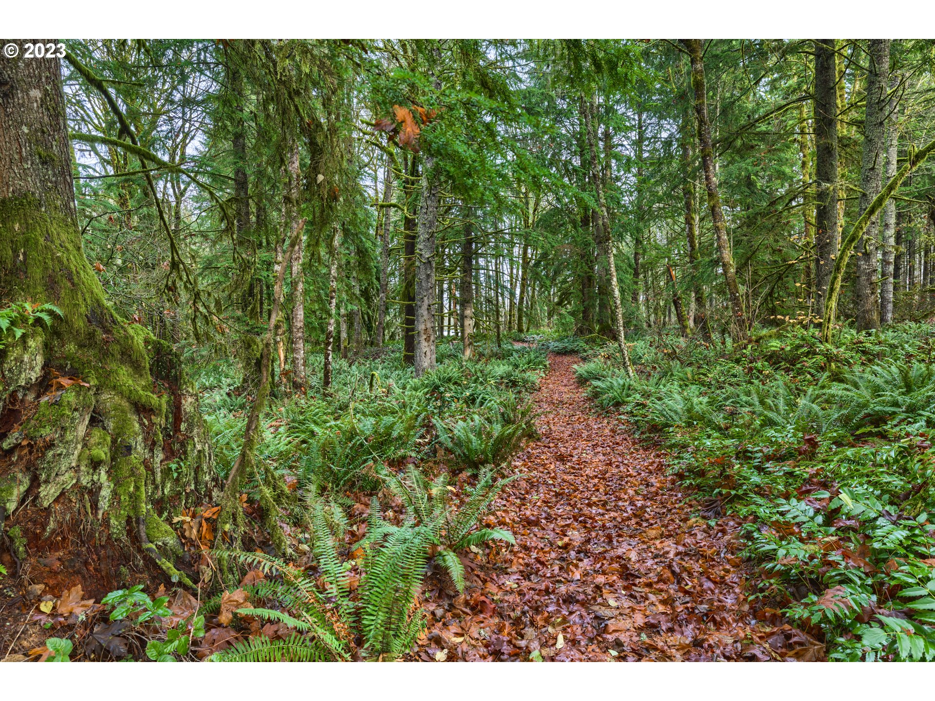 42711 Southeast Hogue Mill Road Corbett, OR 97019 - Photo 41 of 46 Gallery Image 41