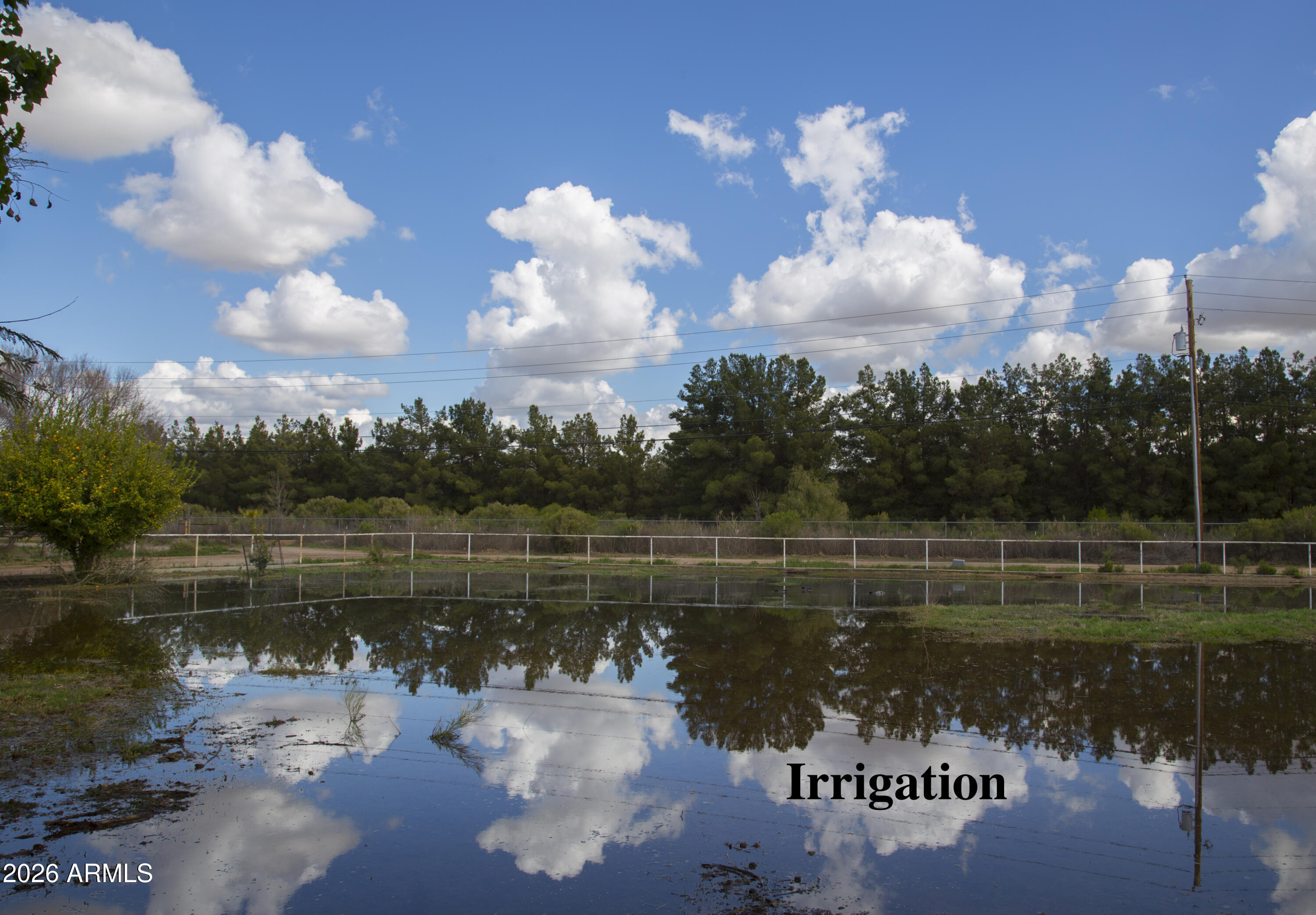 24824 South Signal Butte Road Queen Creek, AZ 85142 - Photo 24 of 92 64 Signal B Irrigated