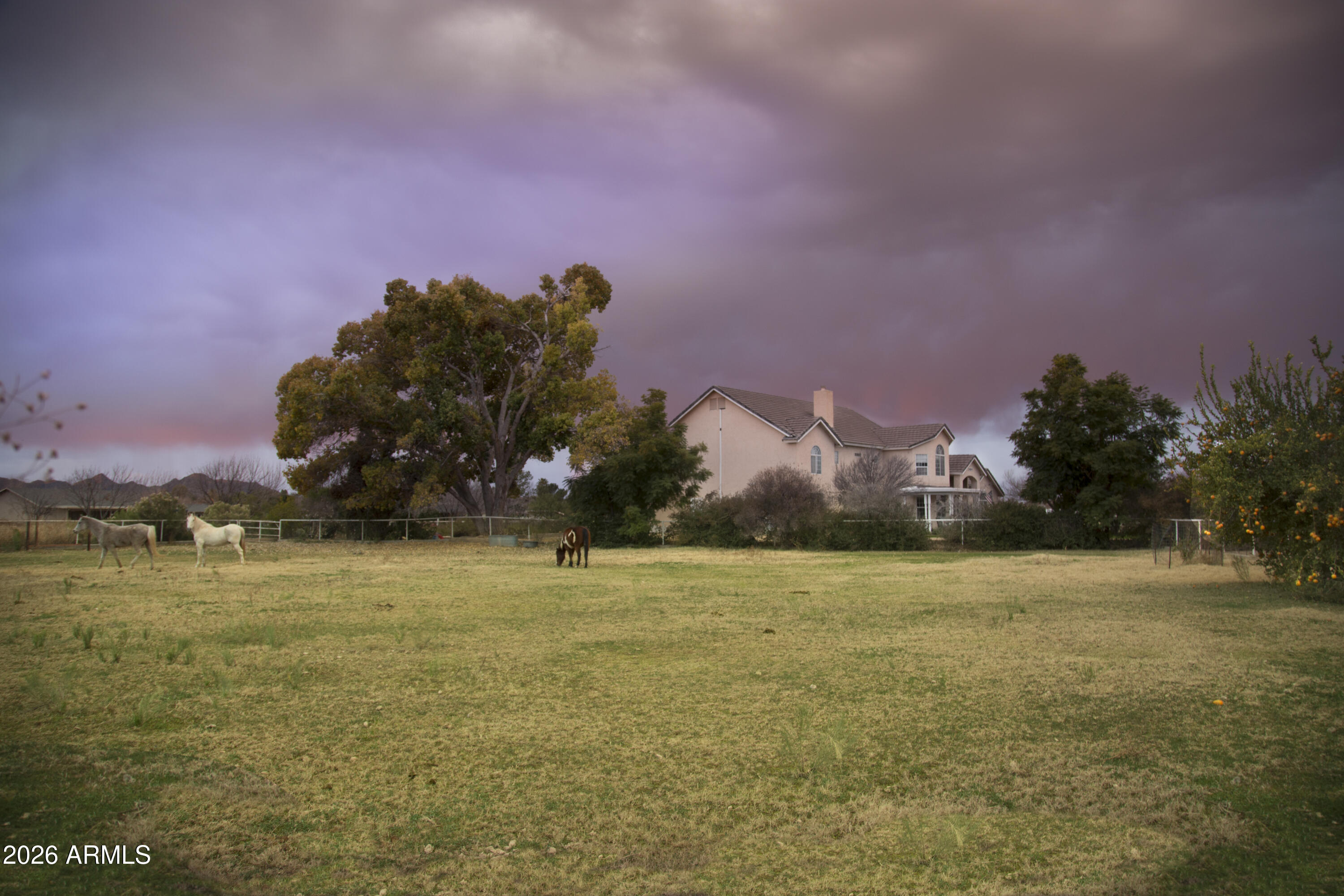 24824 South Signal Butte Road Queen Creek, AZ 85142 - Photo 25 of 92 65 Signal Butte horses