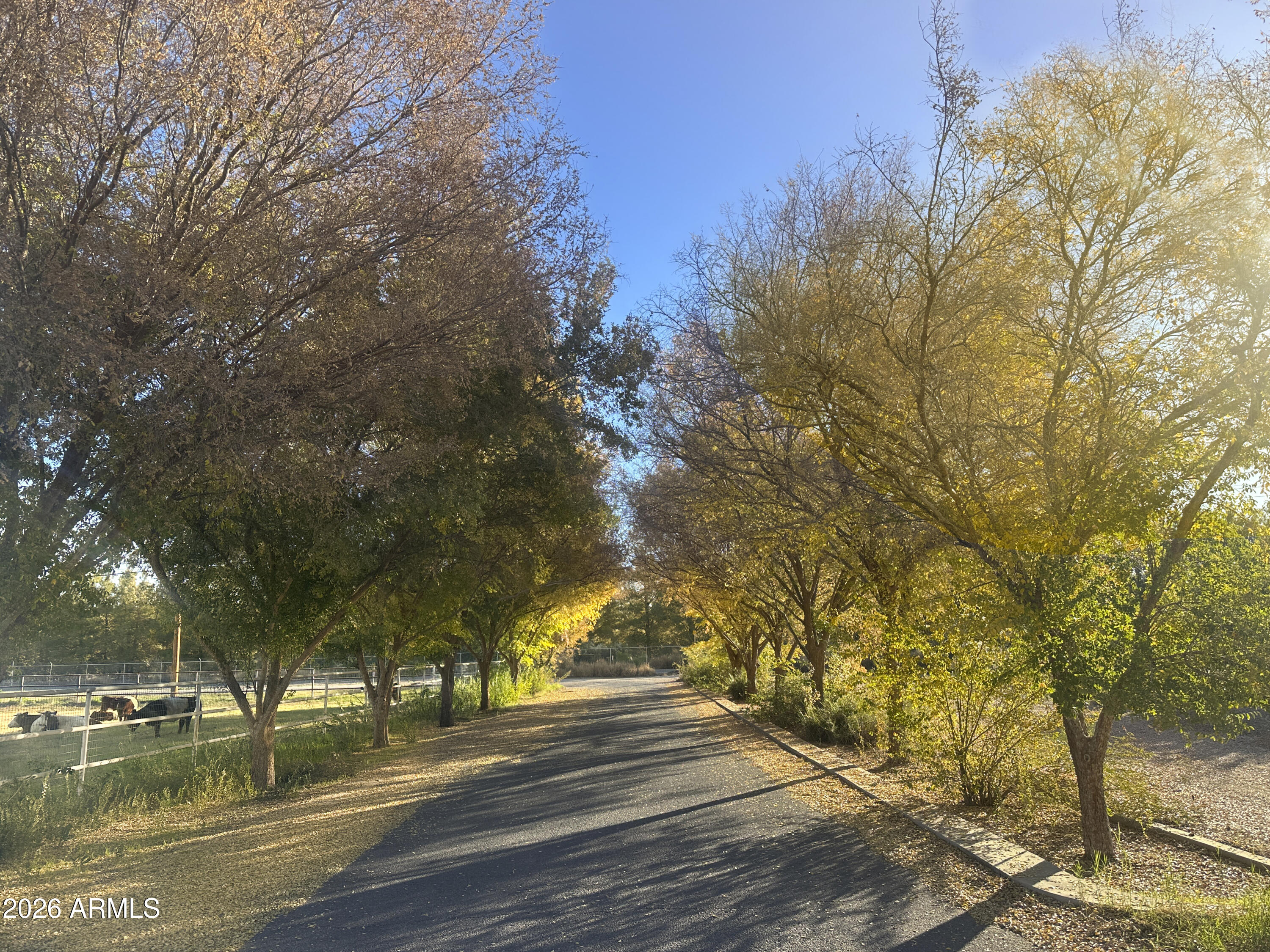 24824 South Signal Butte Road Queen Creek, AZ 85142 - Photo 27 of 92 07 Signal Butte lil lane