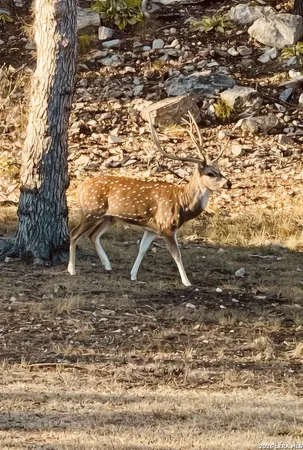 $2,300,000 | 196 B Rock Bottom Road, Hunt, TX 78024