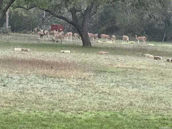 $2,300,000 | 196 B Rock Bottom Road, Hunt, TX 78024