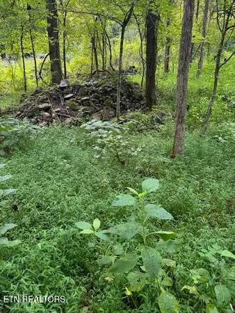 $38,000 | Lot 1 Timberlake Drive, Cosby, TN 37722