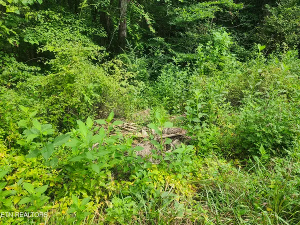 $38,000 | Lot 1 Timberlake Drive, Cosby, TN 37722