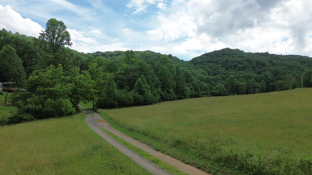 115 Calvender Road Turtletown, TN 37391 - Photo 2 of 23 a view of a big yard with large trees
