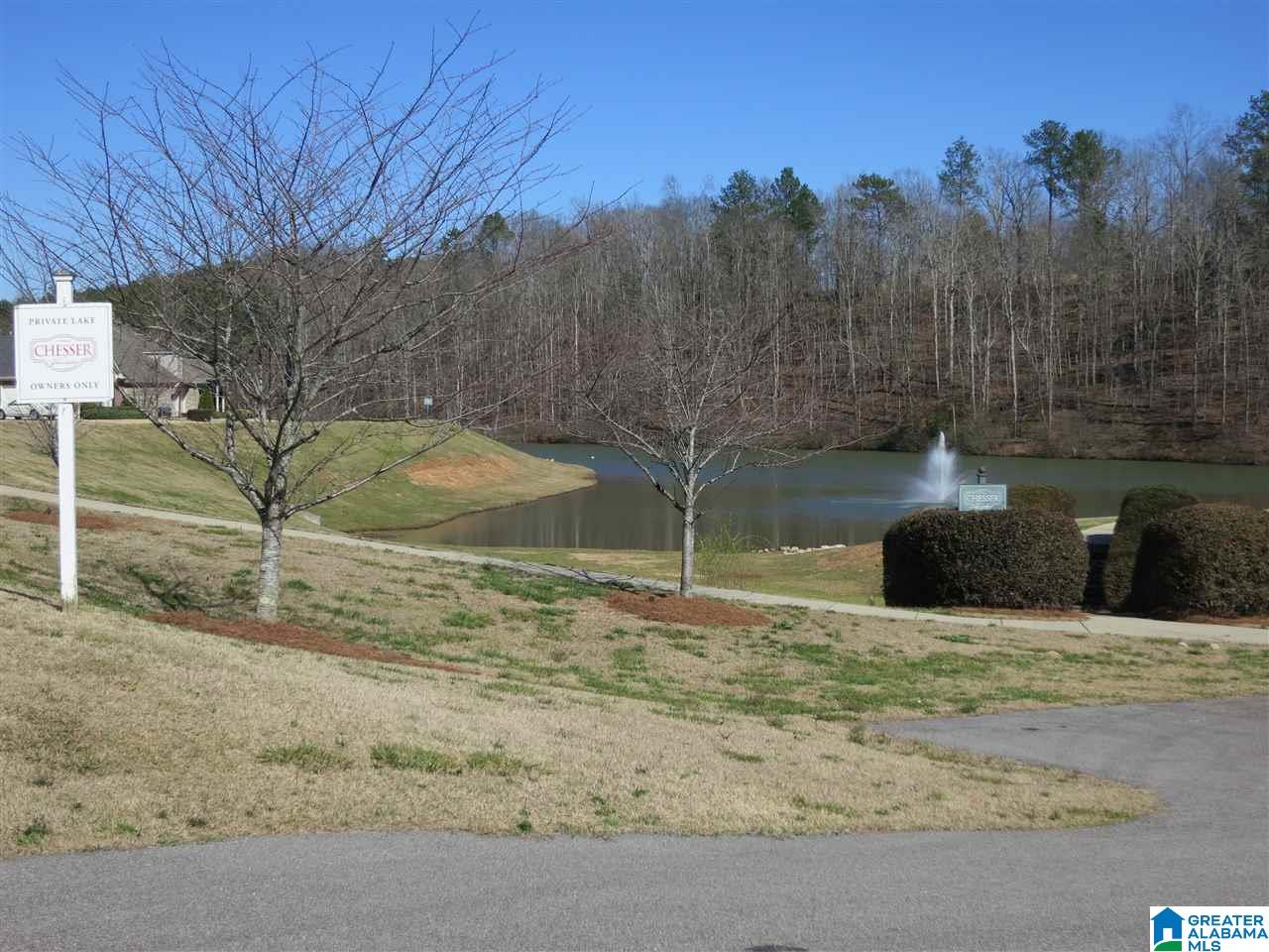 105 Chesser Loop Road Chelsea, AL 35043 - Photo 46 of 49 Gallery Image 46
