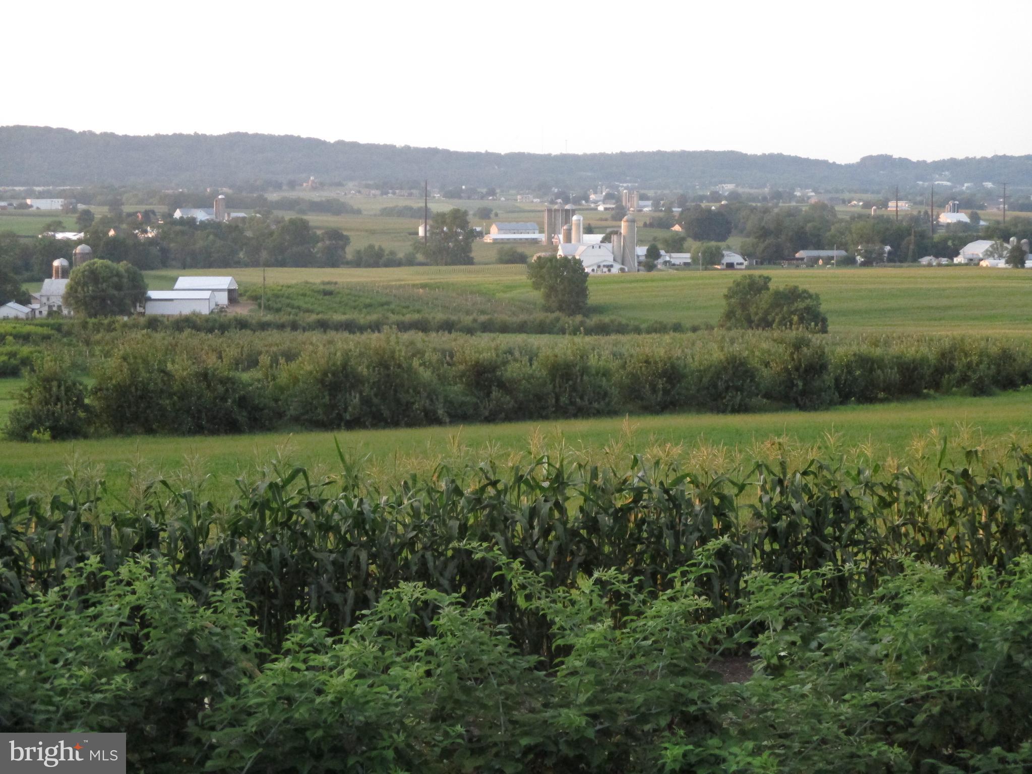 252 Cats Back Road Ephrata, PA 17522 - Photo 3 of 32 Gallery Image 3