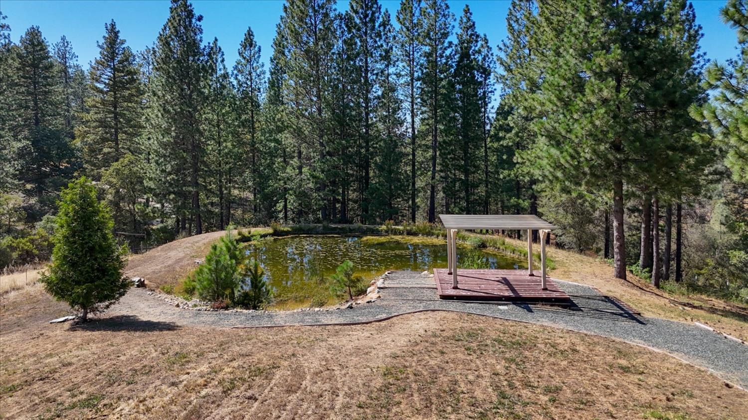 12816 Jones Bar Road Nevada City, CA 95959 - Photo 44 of 57