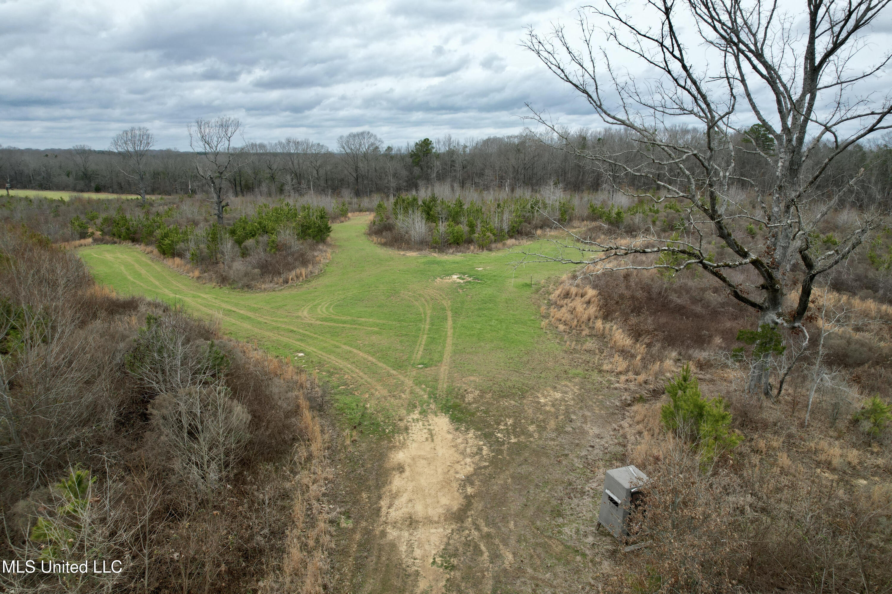 Abernathy Road Flora, MS 39071 - Photo 1 of 20 ab46