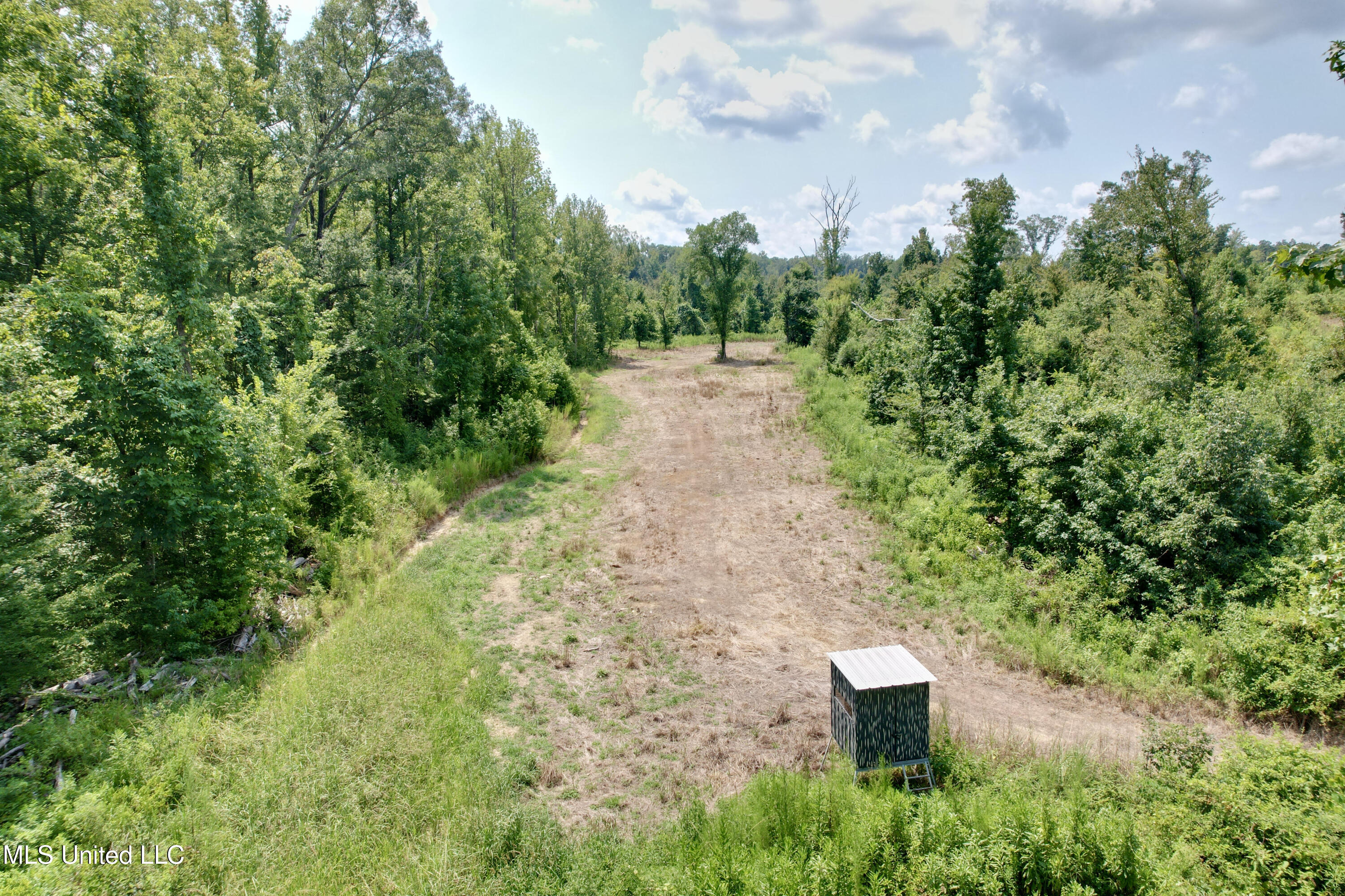 Abernathy Road Flora, MS 39071 - Photo 11 of 24 ab4