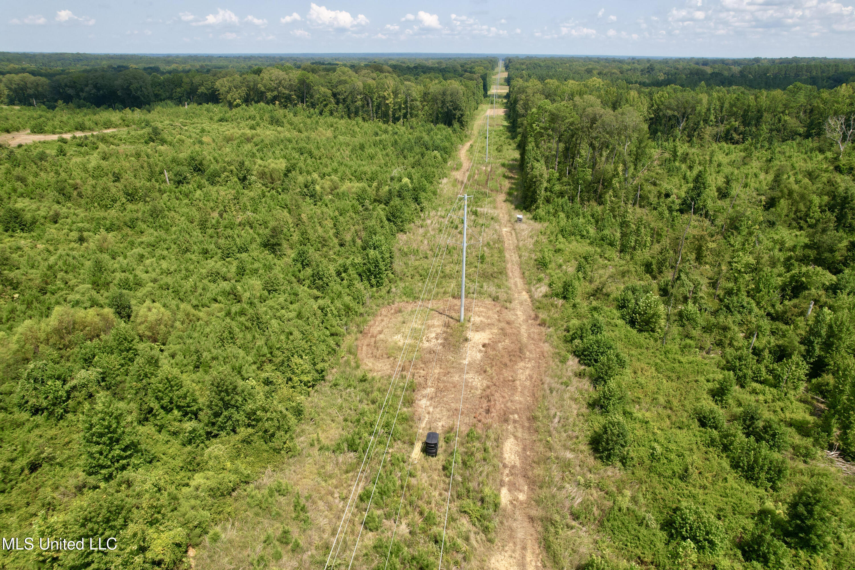 Abernathy Road Flora, MS 39071 - Photo 13 of 24 ab6