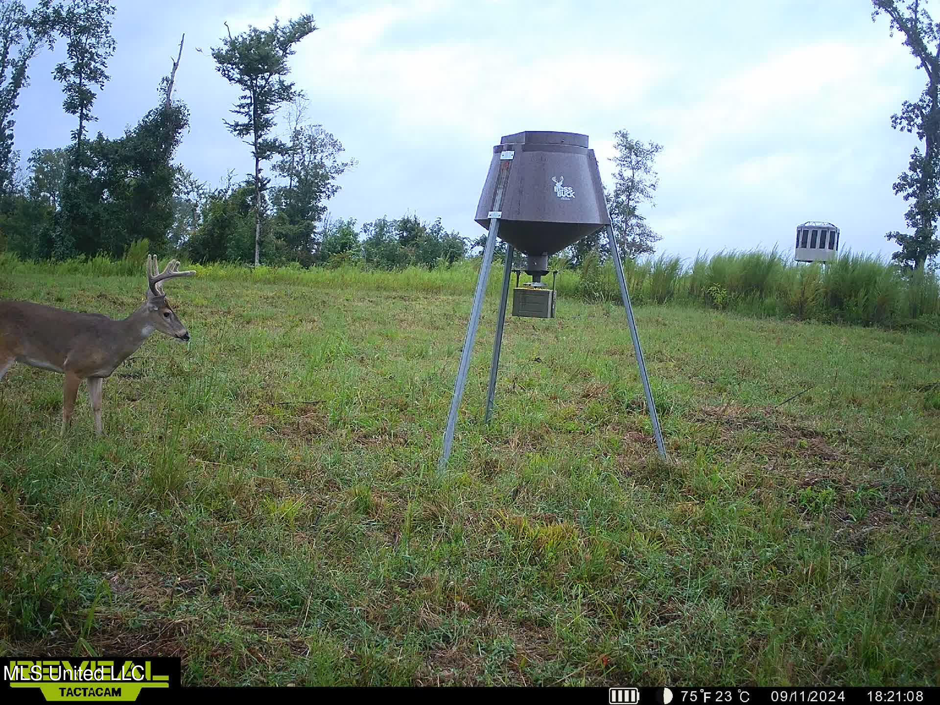 Abernathy Road Flora, MS 39071 - Photo 14 of 19 ab15