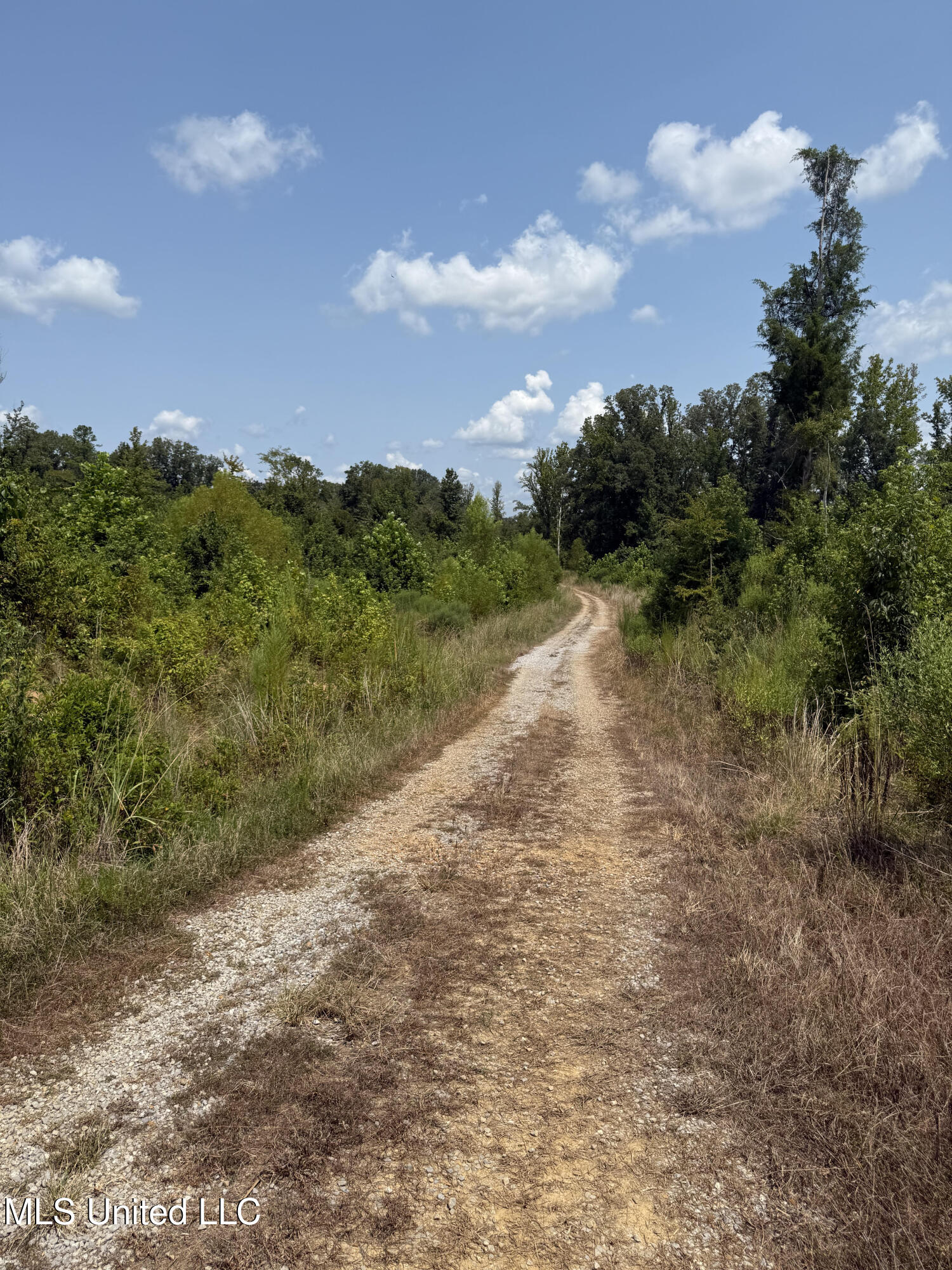 Abernathy Road Flora, MS 39071 - Photo 14 of 24 ab5