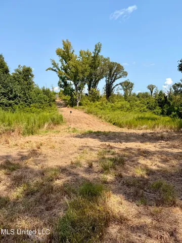 $995,000 | Abernathy Road, Flora, MS 39071