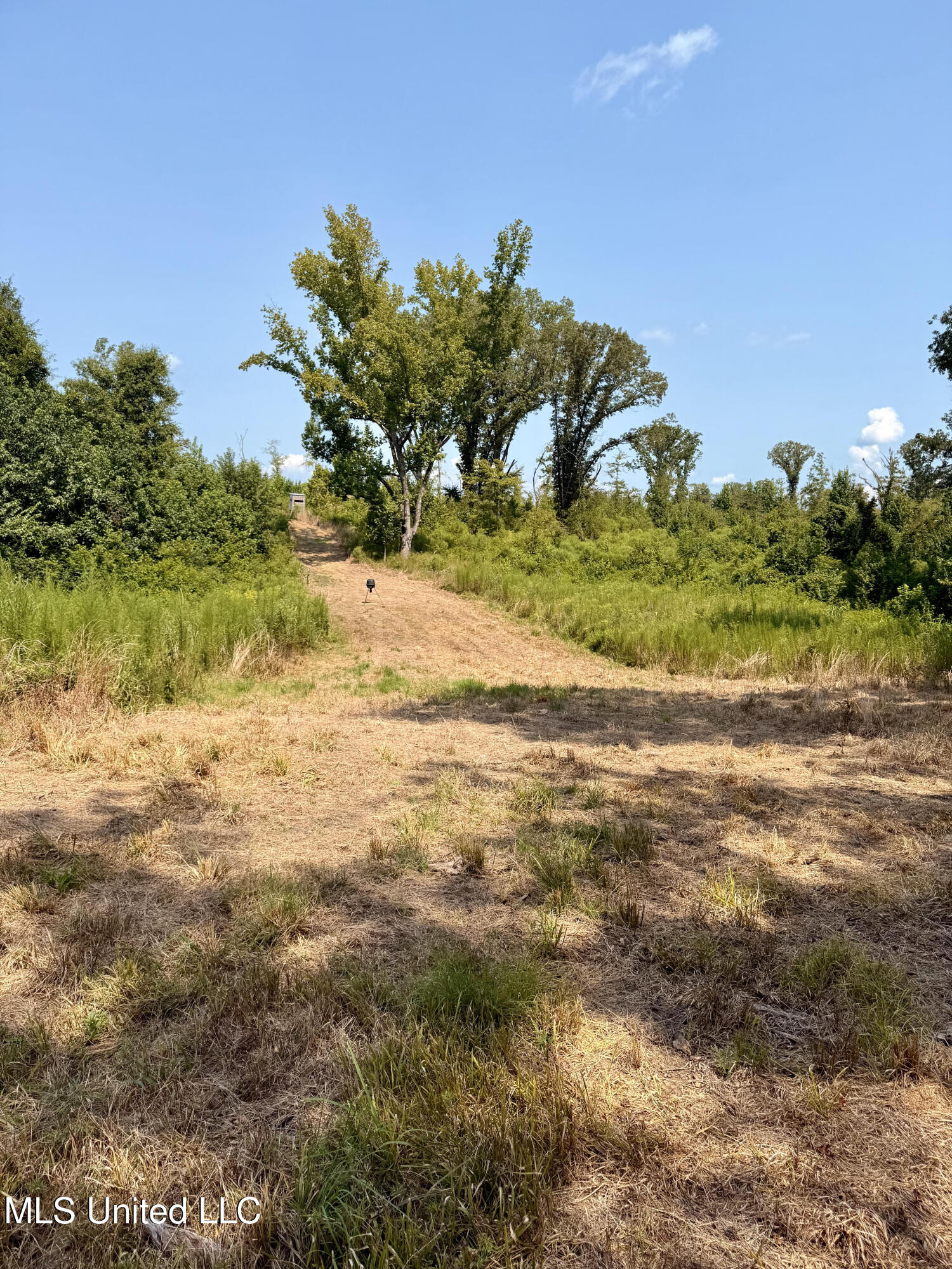 Abernathy Road Flora, MS 39071 - Photo 15 of 24 ab17