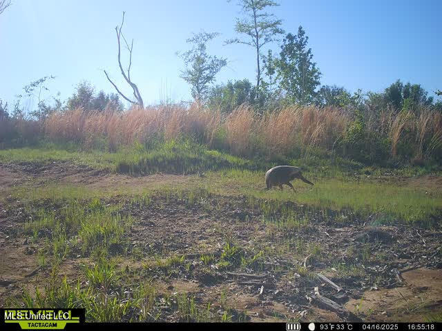 Abernathy Road Flora, MS 39071 - Photo 16 of 20 ab23