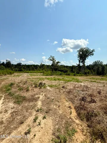 $995,000 | Abernathy Road, Flora, MS 39071