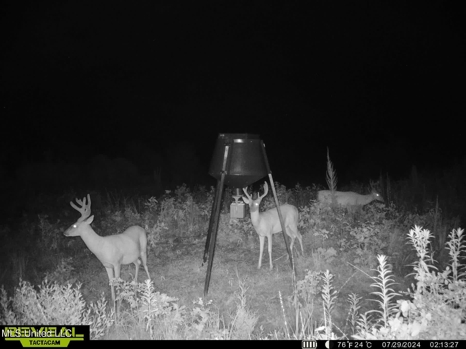 Abernathy Road Flora, MS 39071 - Photo 19 of 24 ab16