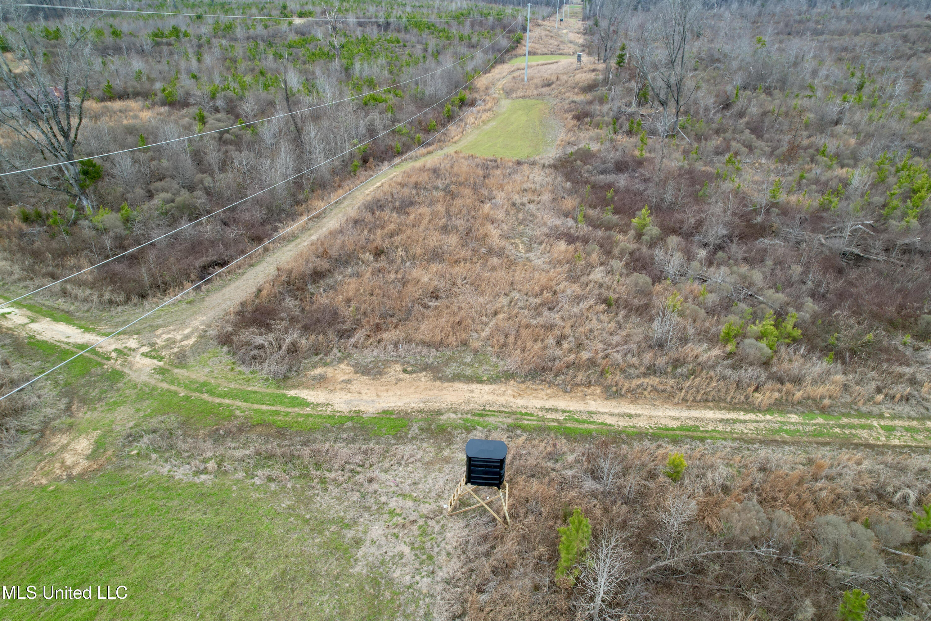 Abernathy Road Flora, MS 39071 - Photo 2 of 20 ab43