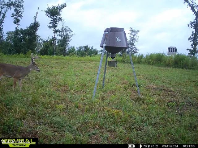 $995,000 | Abernathy Road, Flora, MS 39071