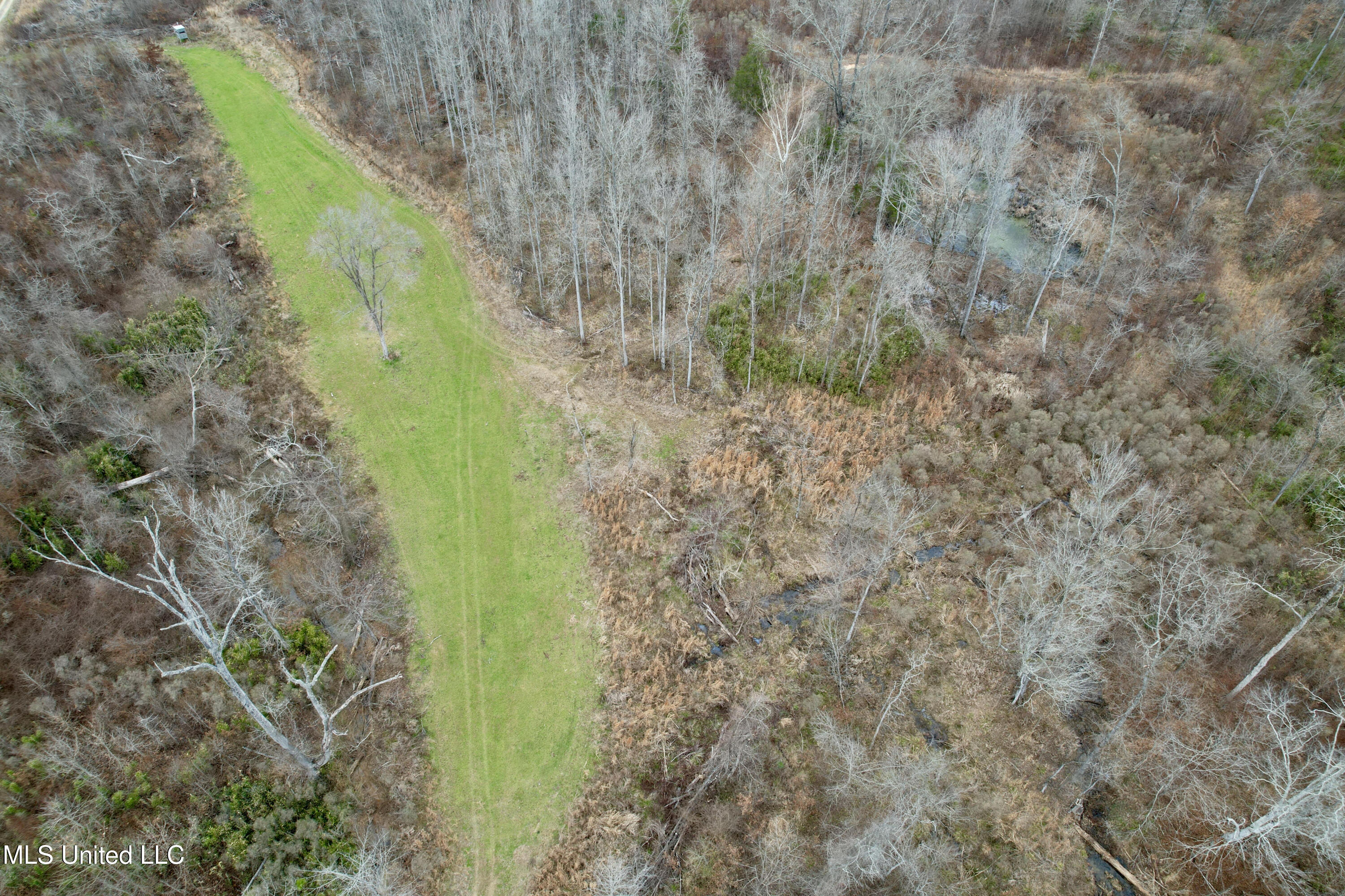 Abernathy Road Flora, MS 39071 - Photo 3 of 19 ab41