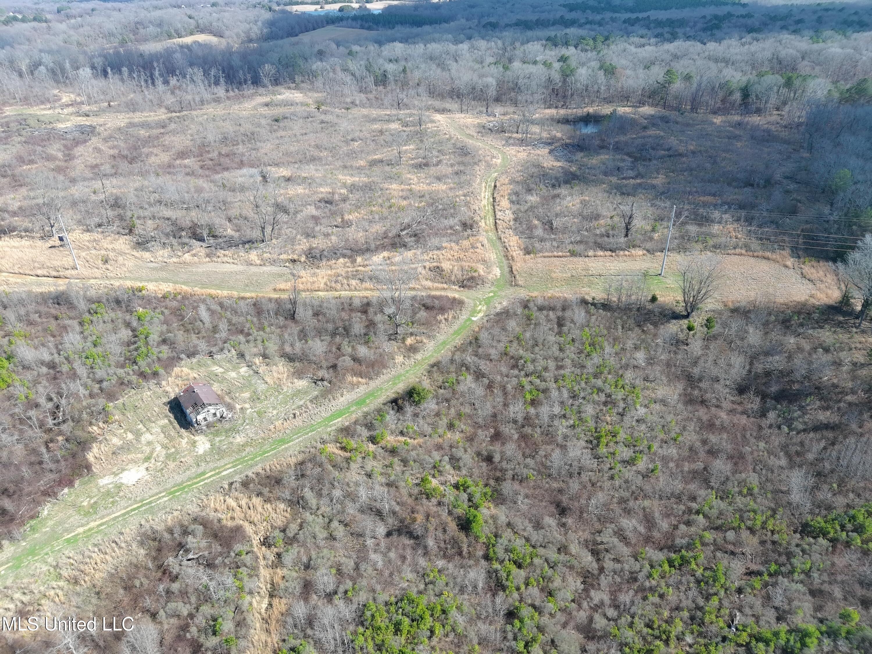 Abernathy Road Flora, MS 39071 - Photo 3 of 24 ab2