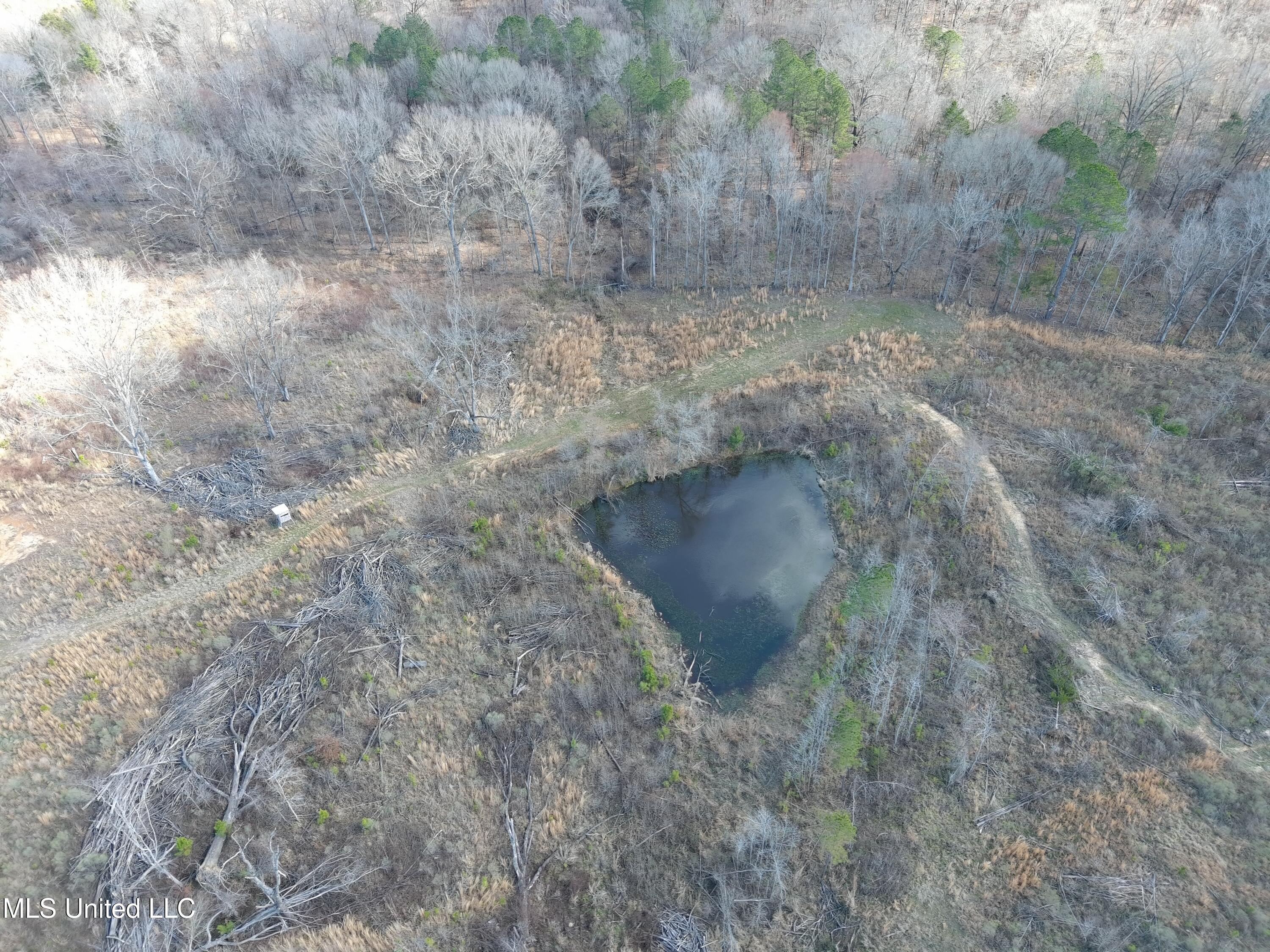 Abernathy Road Flora, MS 39071 - Photo 4 of 24 ab3