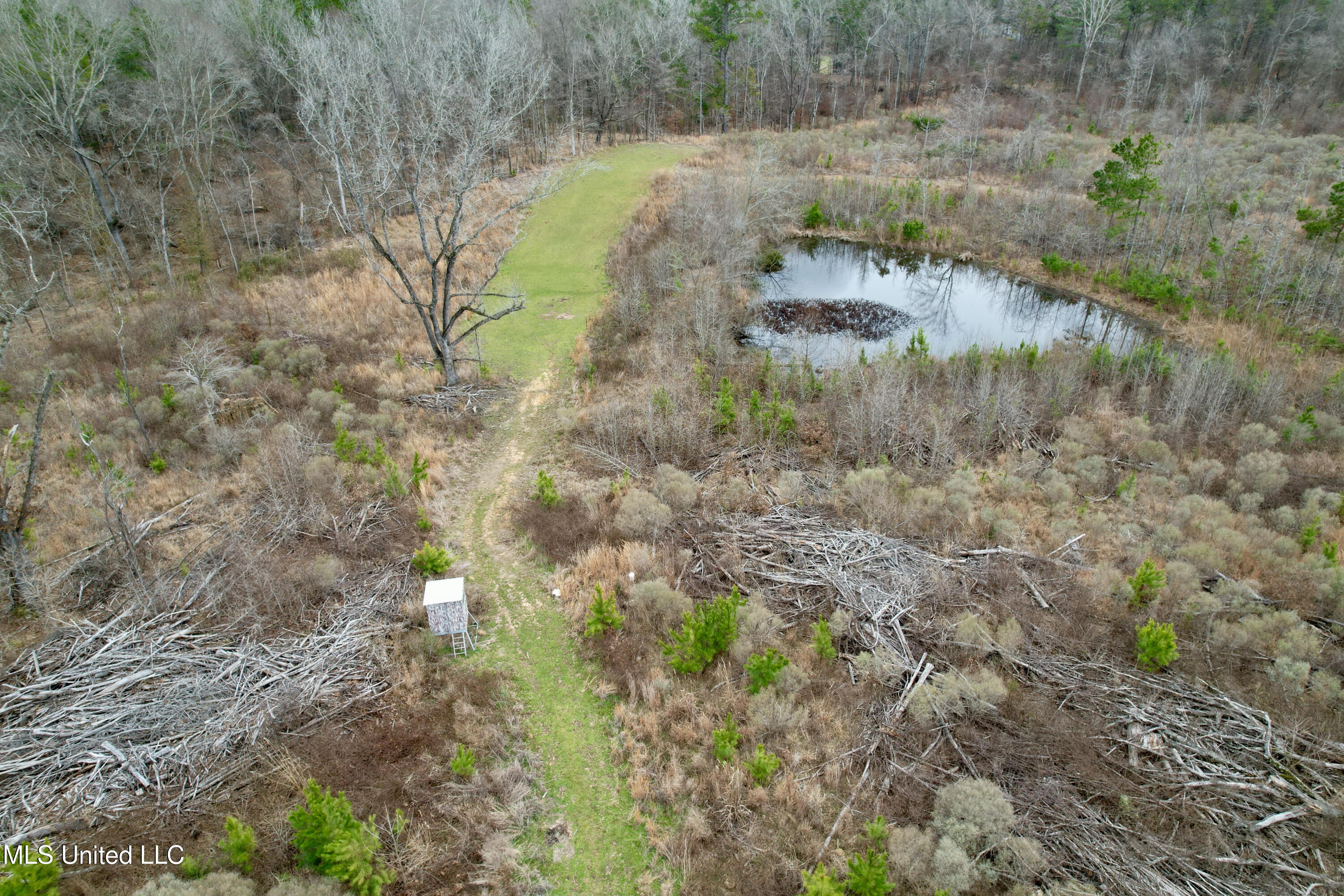 Abernathy Road Flora, MS 39071 - Photo 4 of 20 ab44