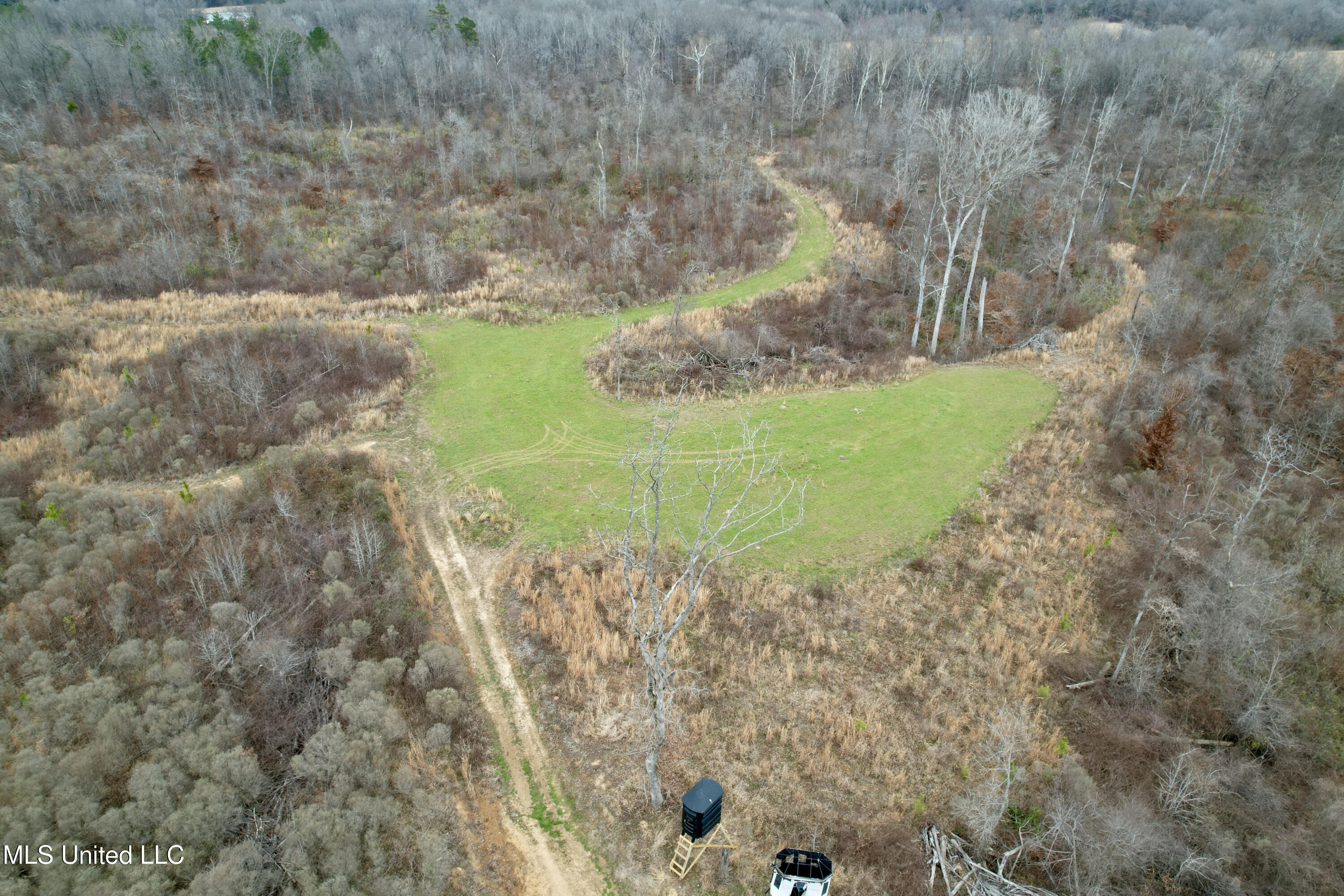 Abernathy Road Flora, MS 39071 - Photo 5 of 19 ab45