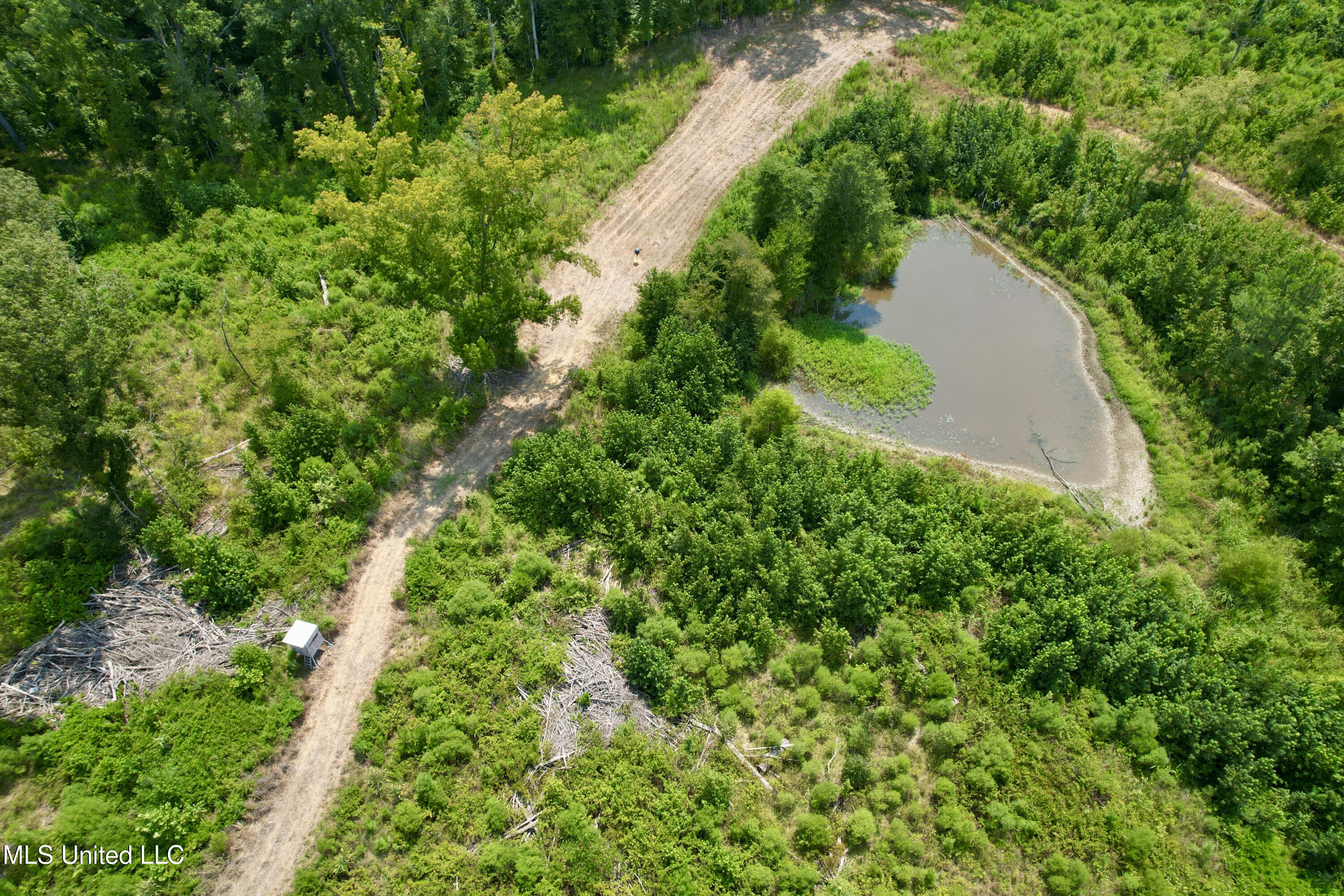 Abernathy Road Flora, MS 39071 - Photo 5 of 24 ab11