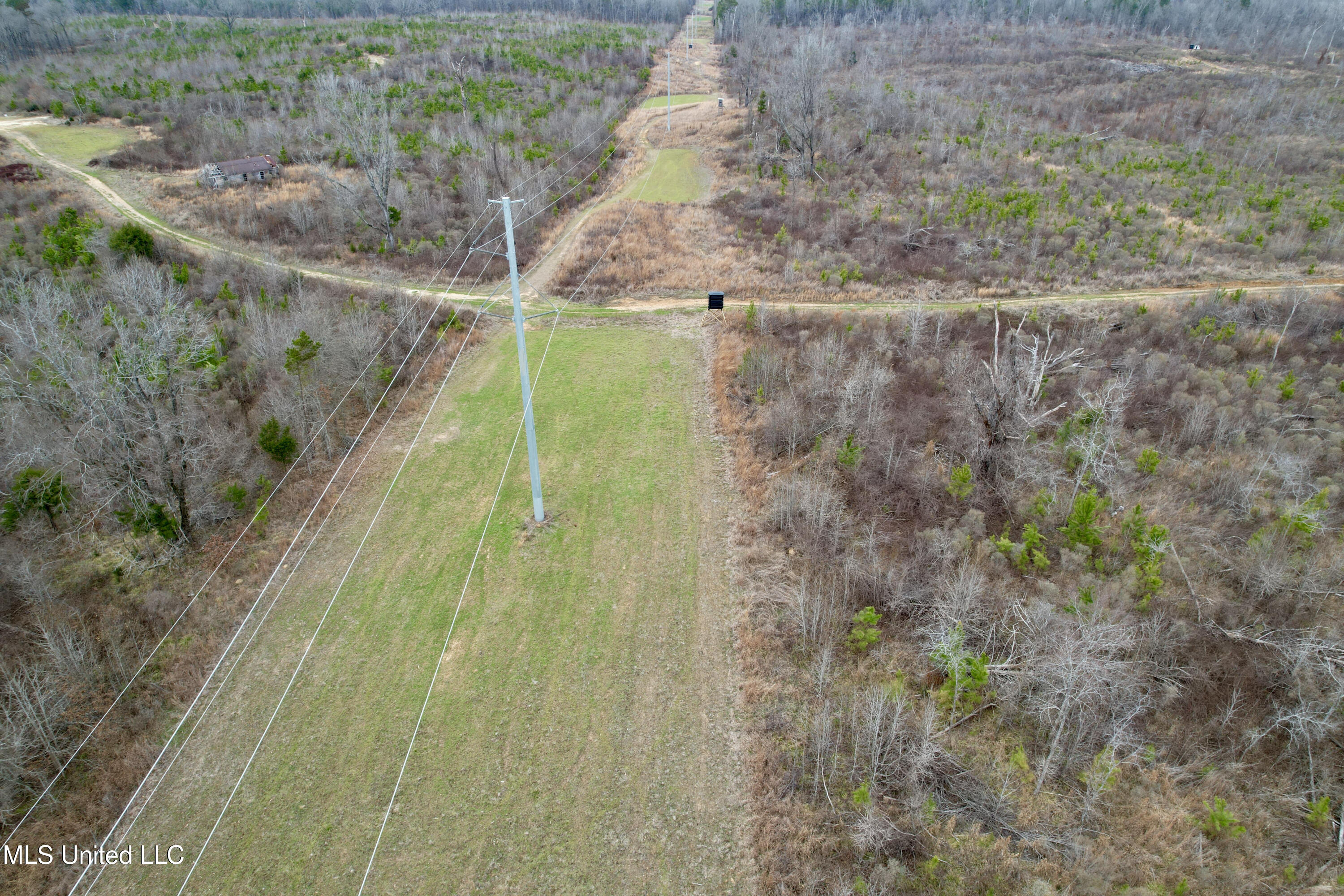 Abernathy Road Flora, MS 39071 - Photo 7 of 20 ab42