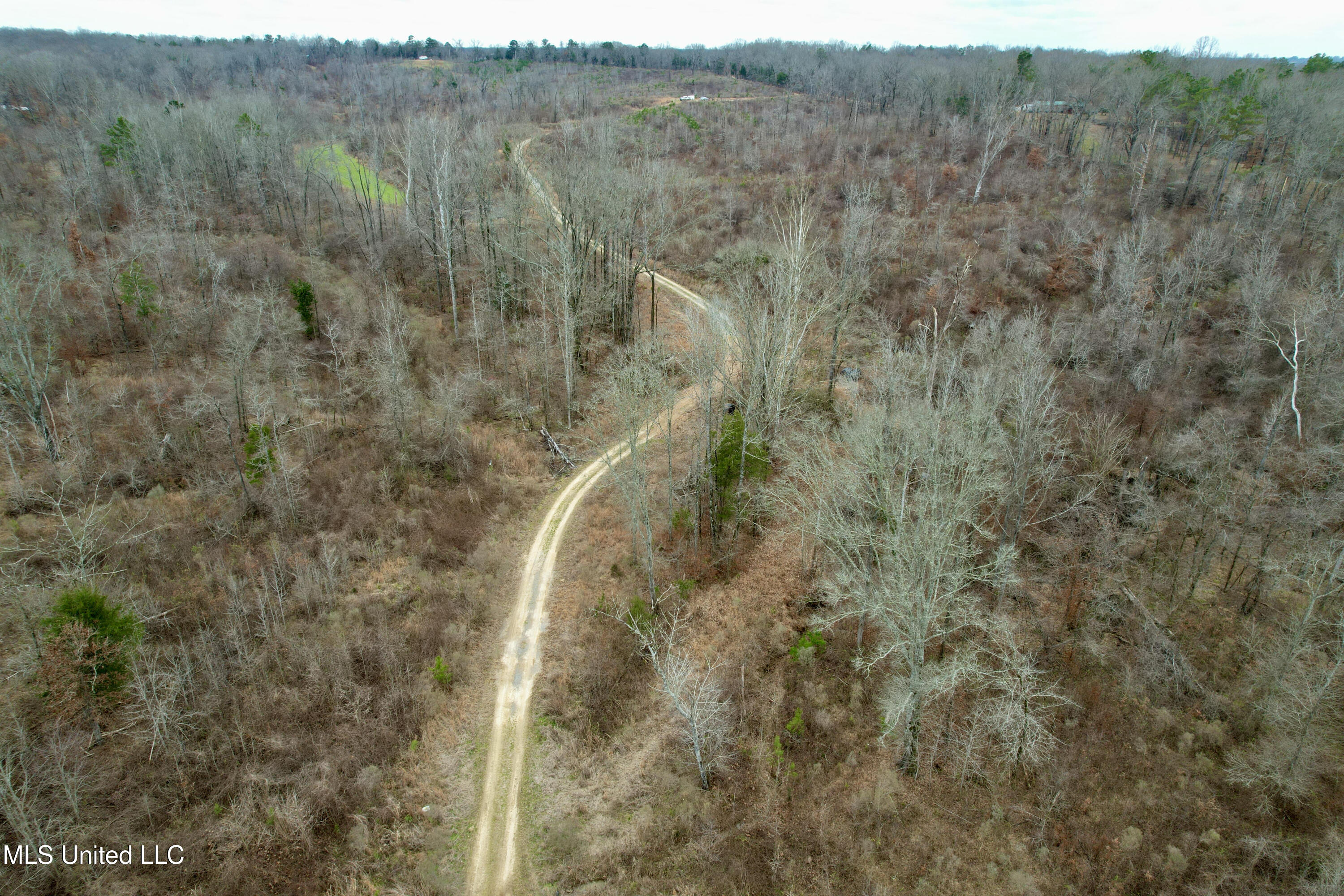 Abernathy Road Flora, MS 39071 - Photo 8 of 20 ab47