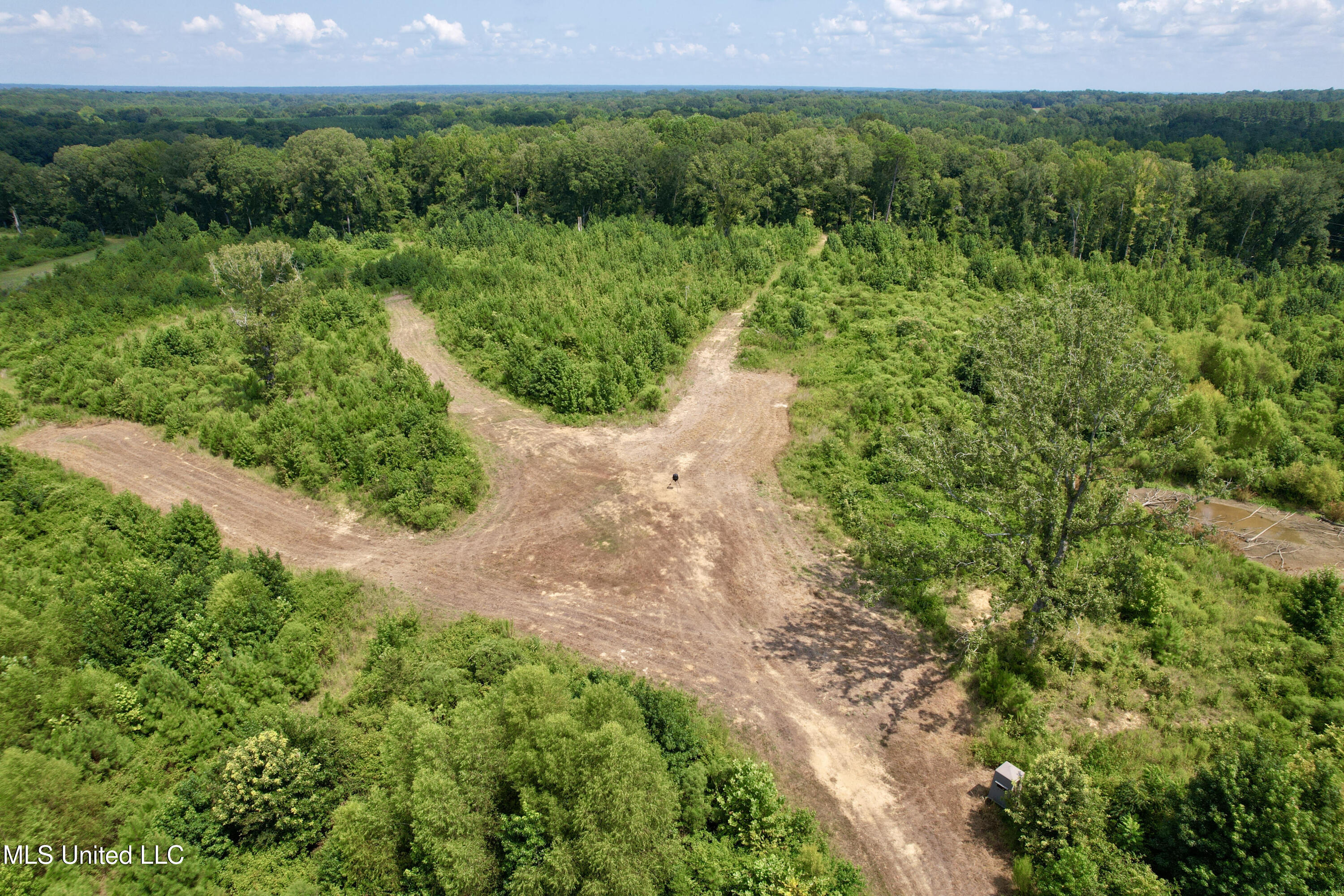 Abernathy Road Flora, MS 39071 - Photo 8 of 24 ab1