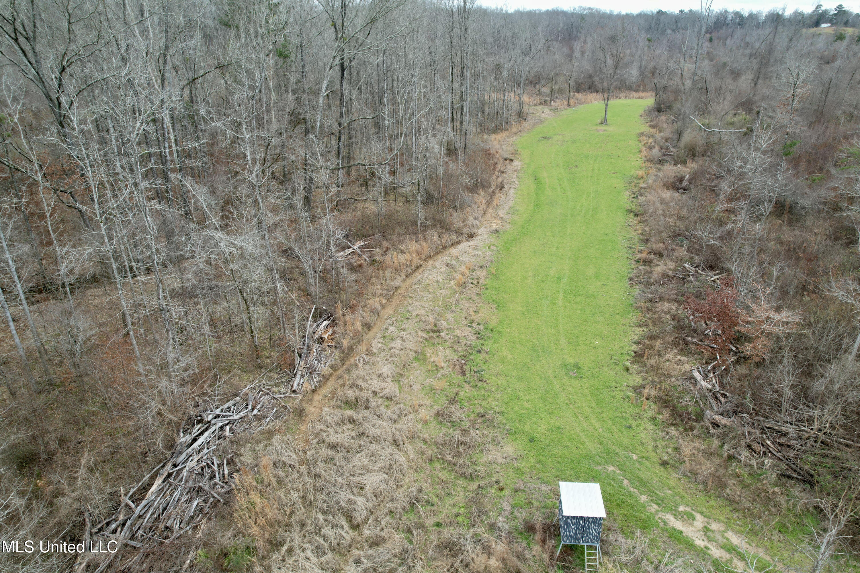 Abernathy Road Flora, MS 39071 - Photo 9 of 20 ab48