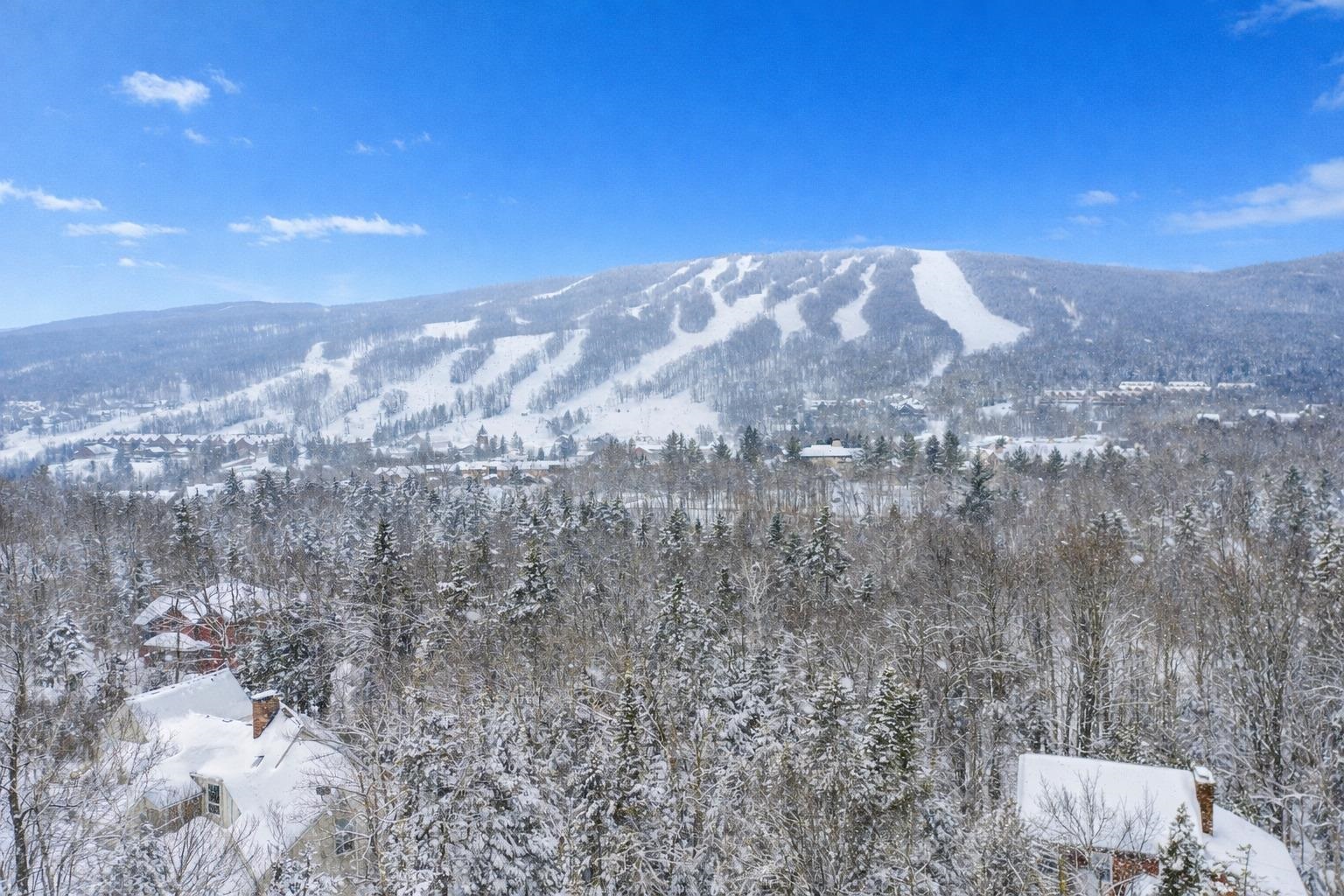 1 Lower Highlands Road West Dover, VT 05356 - Photo 8 of 44