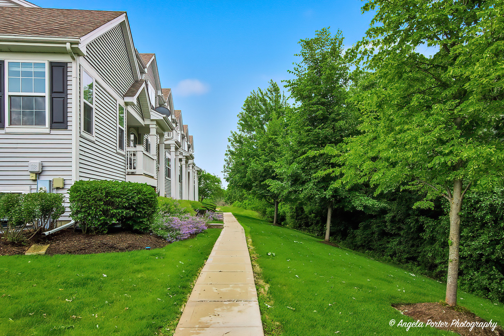 1152 Piccolo Lane Volo, IL 60073 - Photo 2 of 28