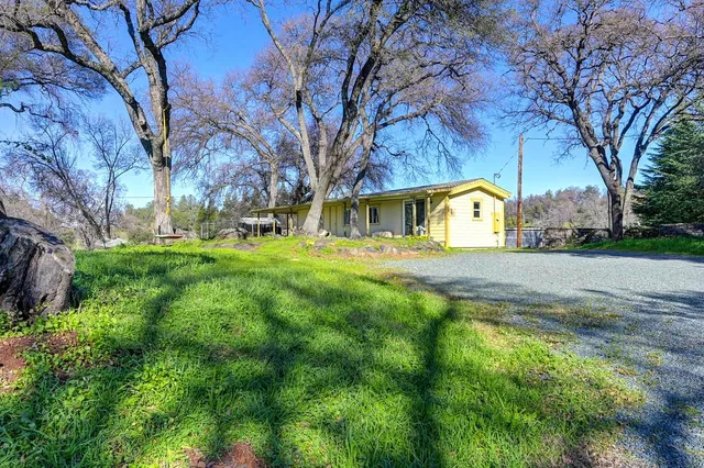 a view of park with tree
