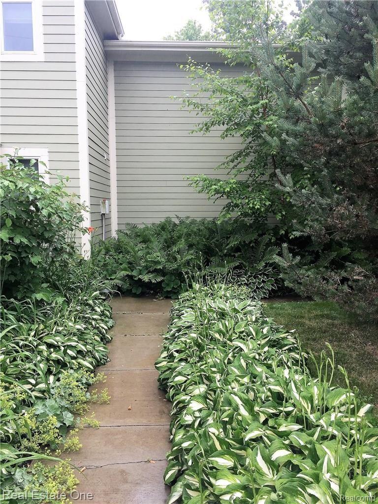 10424 Spring Street Fenton, MI 48430 - Photo 28 of 29 Fern.JPG