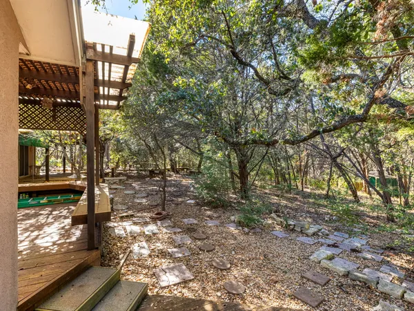 a view of a yard with plants and trees
