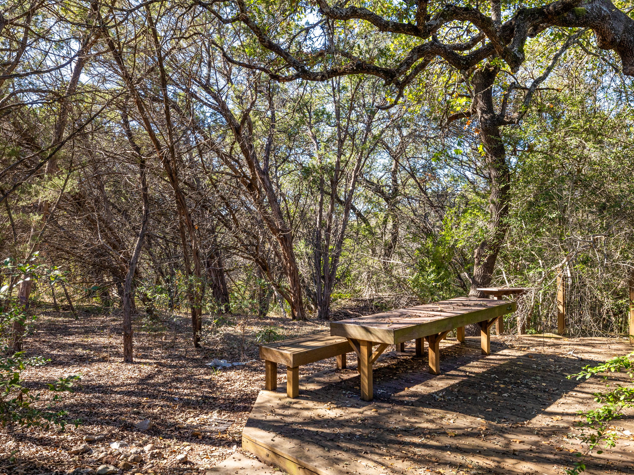 3707 Wyldwood Road Austin, TX 78739 - Photo 25 of 30 a view of a outdoor space with lounge chair