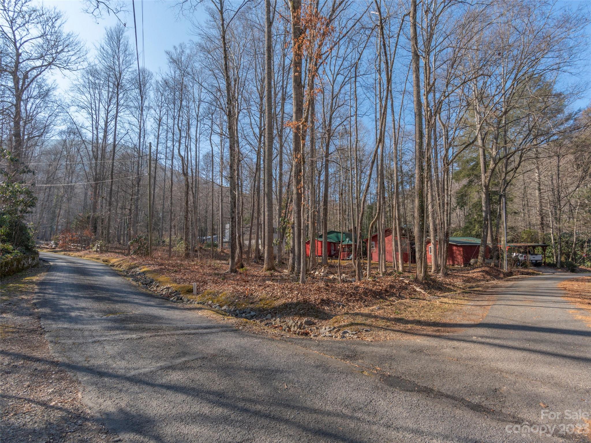 Lot 6-pt Springlake Road Maggie Valley, NC 28751 - Photo 3 of 7 a view of a backyard with large trees