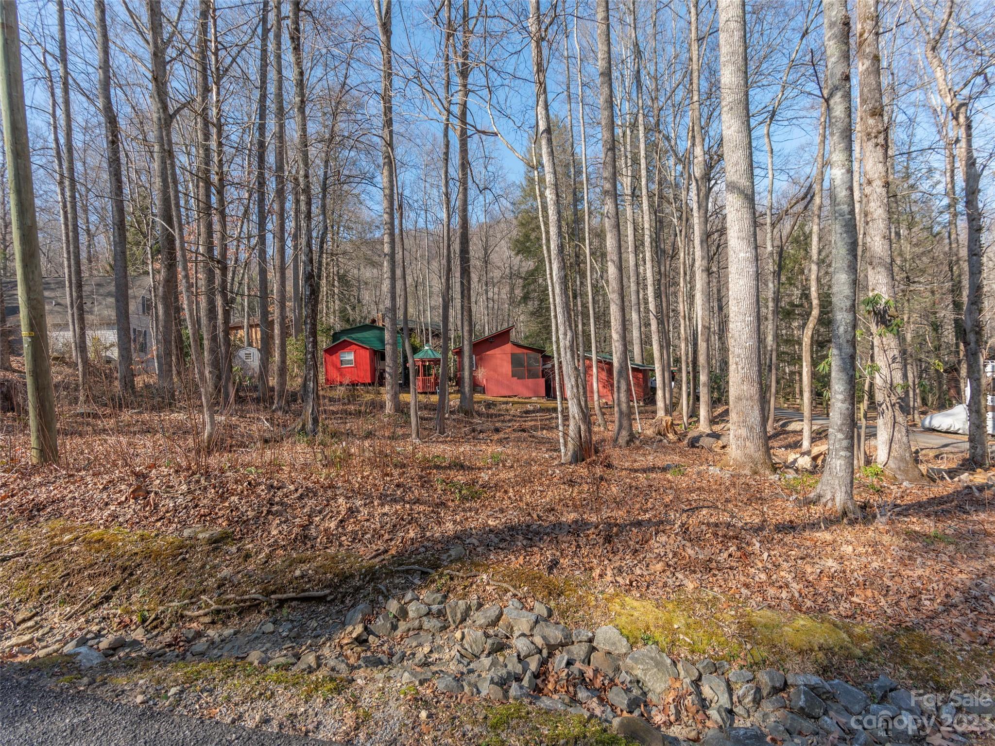 Lot 6-pt Springlake Road Maggie Valley, NC 28751 - Photo 4 of 7 a view of small yard with large trees