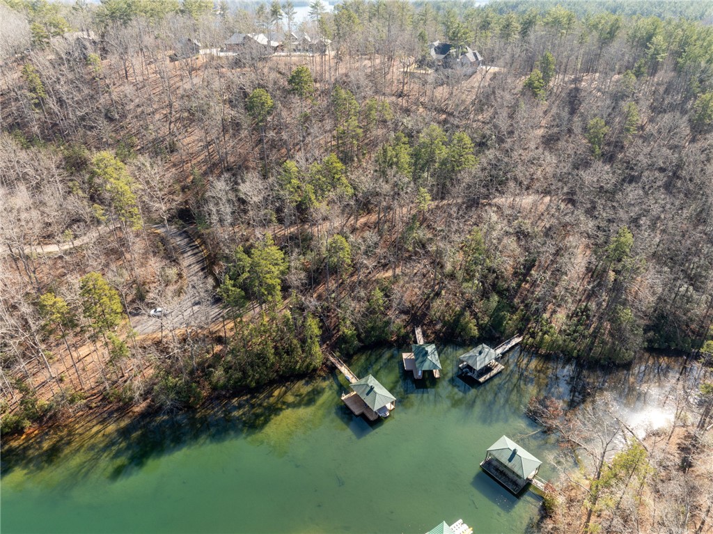 325 Long Cove Trail Salem, SC 29676 - Photo 43 of 48