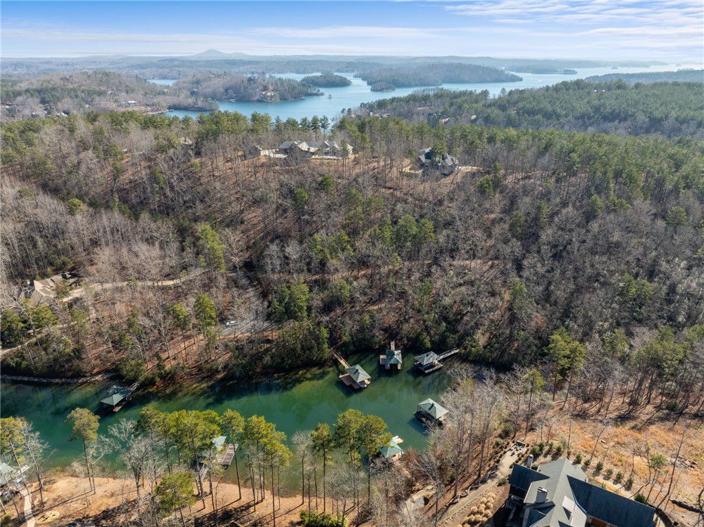 325 Long Cove Trail Salem, SC 29676 - Photo 44 of 48