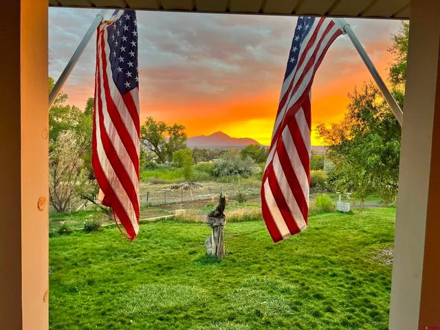 a view of outdoor with a backyard